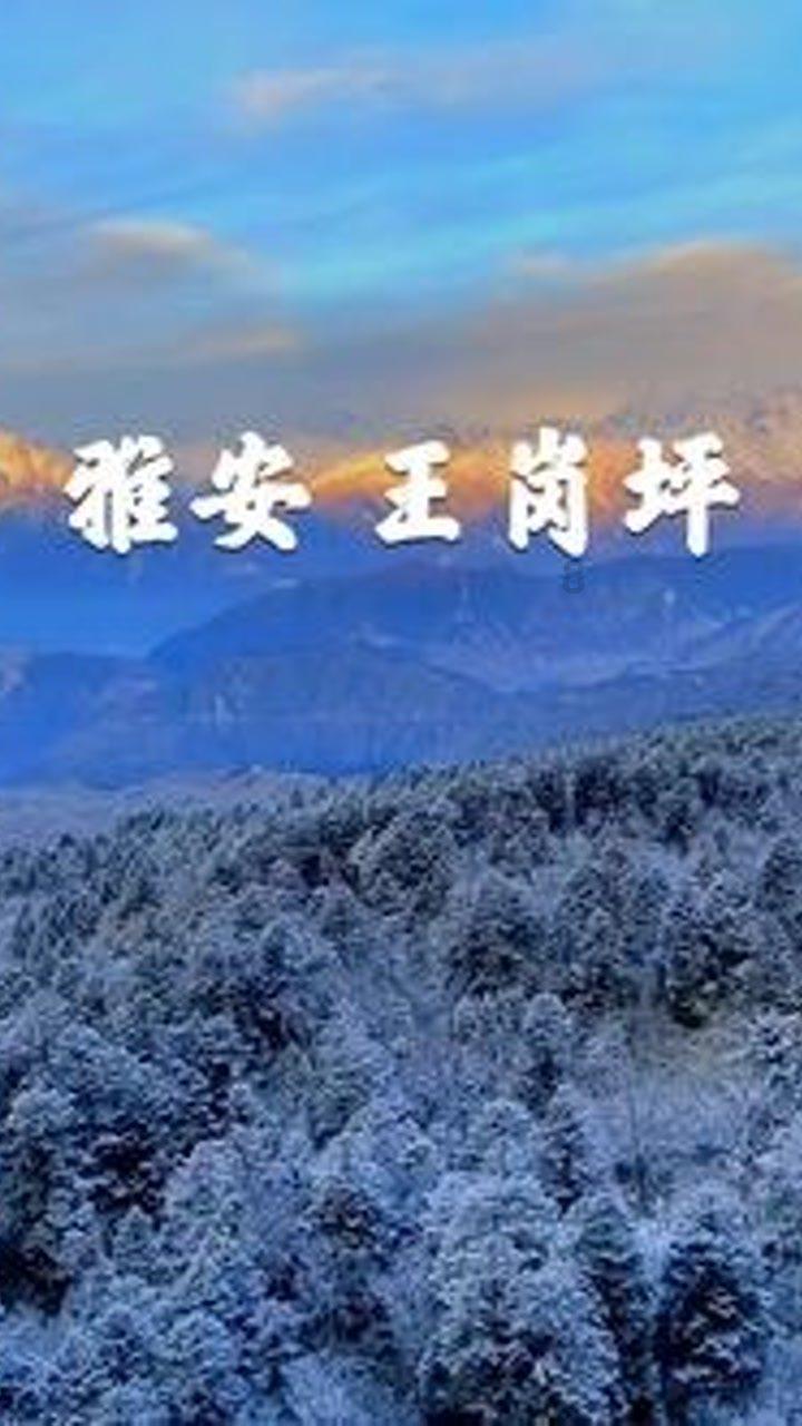 中国历史上,有哪些忍辱负重并且最终成功的例子?-红迪网平台专题